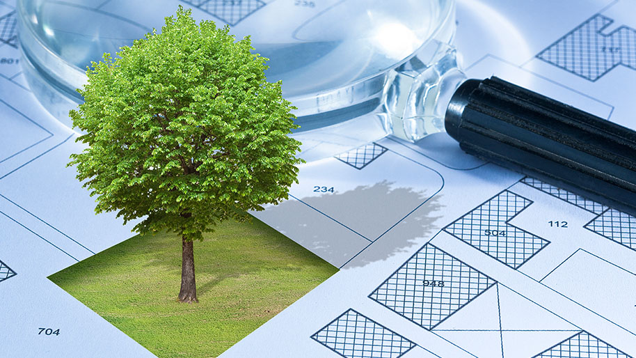 Carte cadastrale avec un arbre solitaire sur une scène rurale