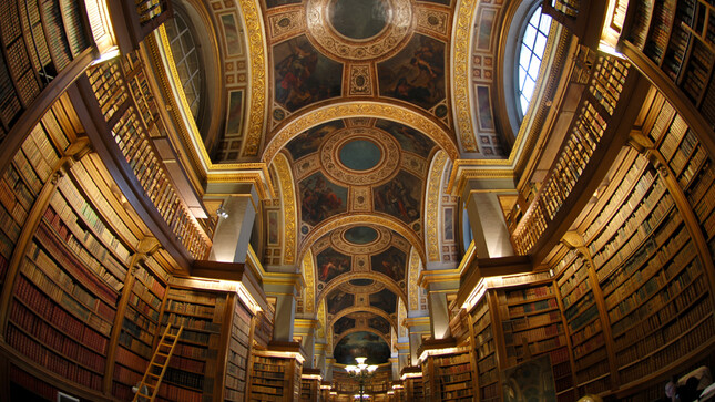 Bibliothèque - le plafond 
