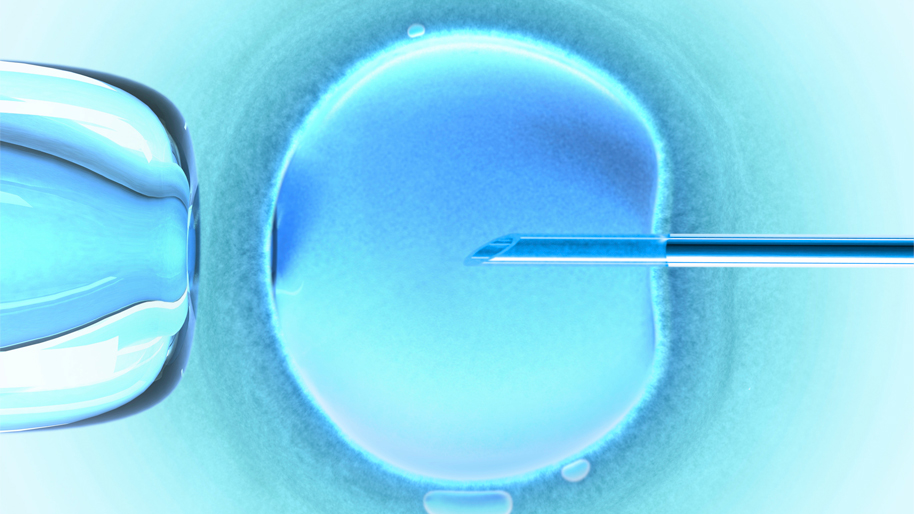 Cellule (biologie)